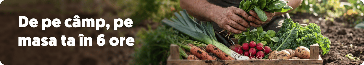 From the field directly to your home in just 6 hours.