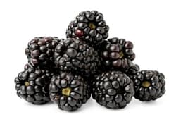 Cosul cu Fructe ECO Blackberries