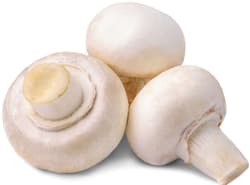 Ciuperci albe caserola