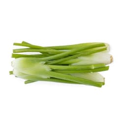 Baby fennel