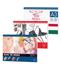Pigna Bloc desen A3,16 coli
