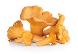 Galbiori ambalati