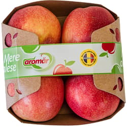 Royal Gala Apples 4-pack