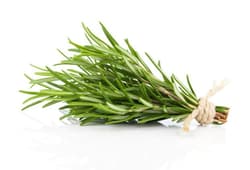 Nasul Rosu ECO Rosemary