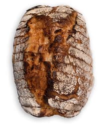 Michael Artisan Paine cu maia