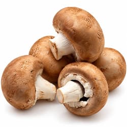 ECO Brown Champignon Mushrooms