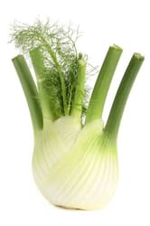 ECO Fennel