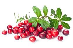 ECO Cranberries box