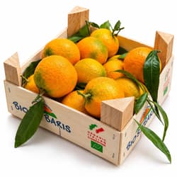 ECO Italian "Pitufo" clementines in a 2.3 kg crate