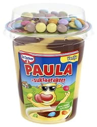 Paula budinca vanilie si ciocolata cu bomboane