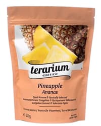 Terarium Exotica Ananas congelat