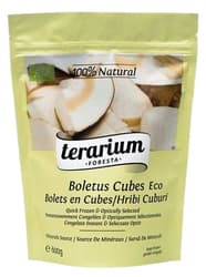 Terarium Foresta ECO Hribi