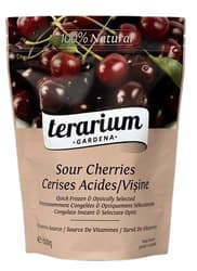 Terarium Visine