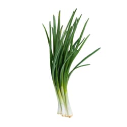 Cosul cu Fructe ECO Ceapa verde