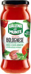 Valenii de Munte Sos Baza Bolognese