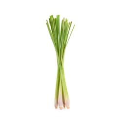 Lemongrass proaspat