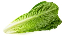 Salata Romana