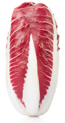 Radicchio Trevisano
