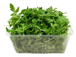 Rucola
