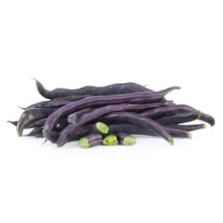 Nasul Rosu ECO Fasole pastai mov