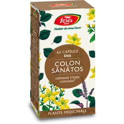 FARES COLON SANATOS 63 CAPSULES