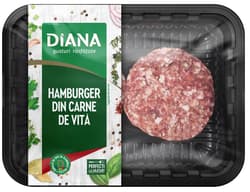Diana Hamburger de vita
