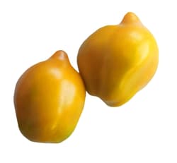 ECO Rosii Lemon caserola