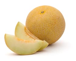 ECO Galia Melon