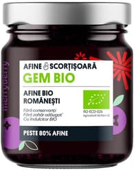 MerryBerry ECO Gem afine si scortisoara fara zahar