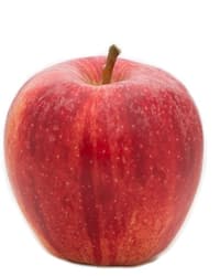 Gala Premium Apples Romania