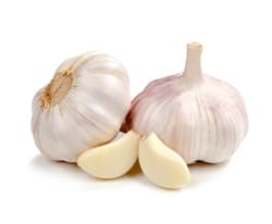ECO Romanian Garlic