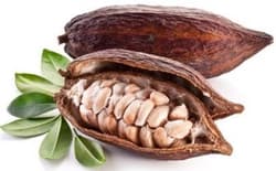 Fruct de cacao big size by Air