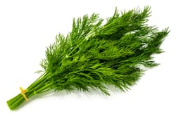 ECO Fresh dill packed