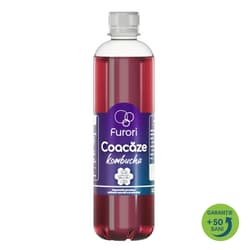 Furori Coacaze kombucha pet