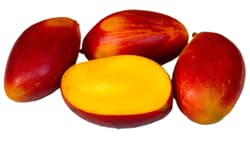 Mango premium copt soi Palmer by Air 400 gr+