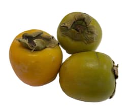 Kaki verde-galben  din Italia bucata
