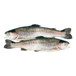 MY FISH Pastrav curcubeu proaspat eviscerat certificat Global GAP