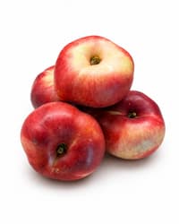 ECO Nectarine plate (Platerinas)
