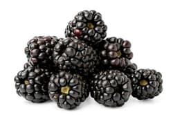 ECO Blackberries from the mountins