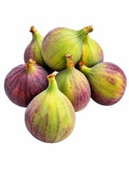 Fresh Figs