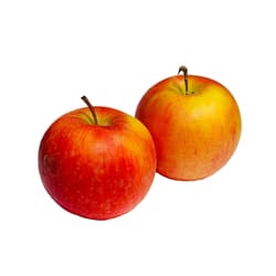 ECO Apples Early Crunch