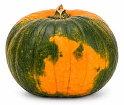 Halloween Pumpkin
