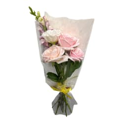 Buchet Sezamo Daily