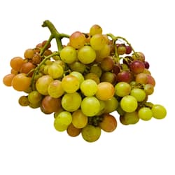 ECO Grapes Big Pearl from Calabria