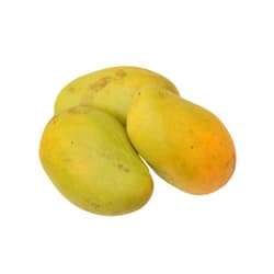 ECO Mango Honey