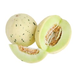 Dino Melon
