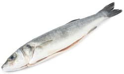 Alfredo Seafood ECO Lup de mare