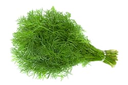 Ferma Sarei Marar