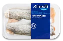 Alfredo Seafood File de pastrav