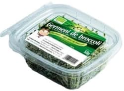 ECO Germeni de broccoli